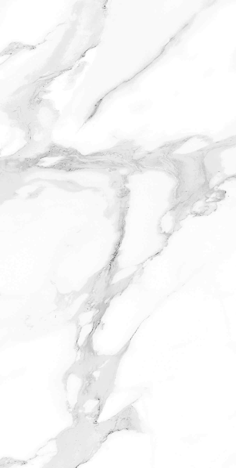 Calacatta Horizon polished 600x1200